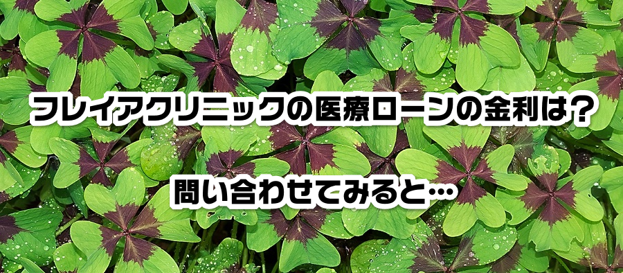 フレイアクリニックの医療ローンの金利は?問い合わせてみると…